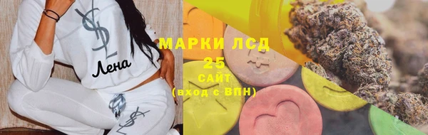 прущие грибы Алзамай