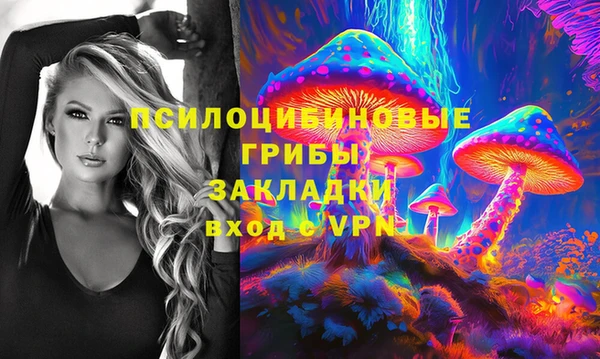 соль ск Алексин