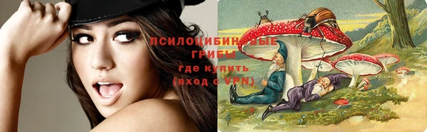 соль ск Алексин