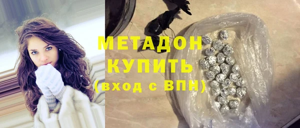 прущие грибы Алзамай